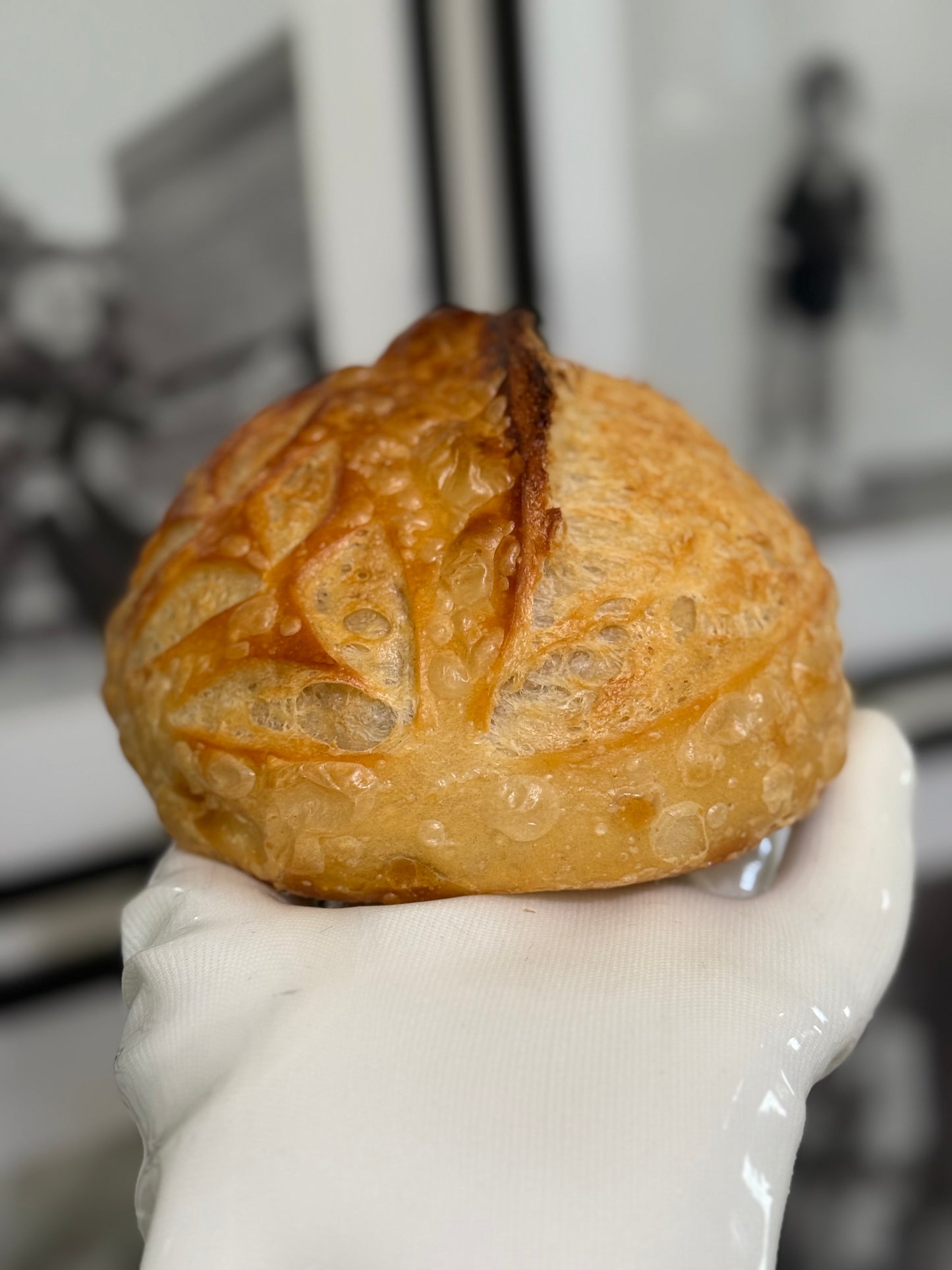 Organic Dehydrated Sourdough Starter Cultures