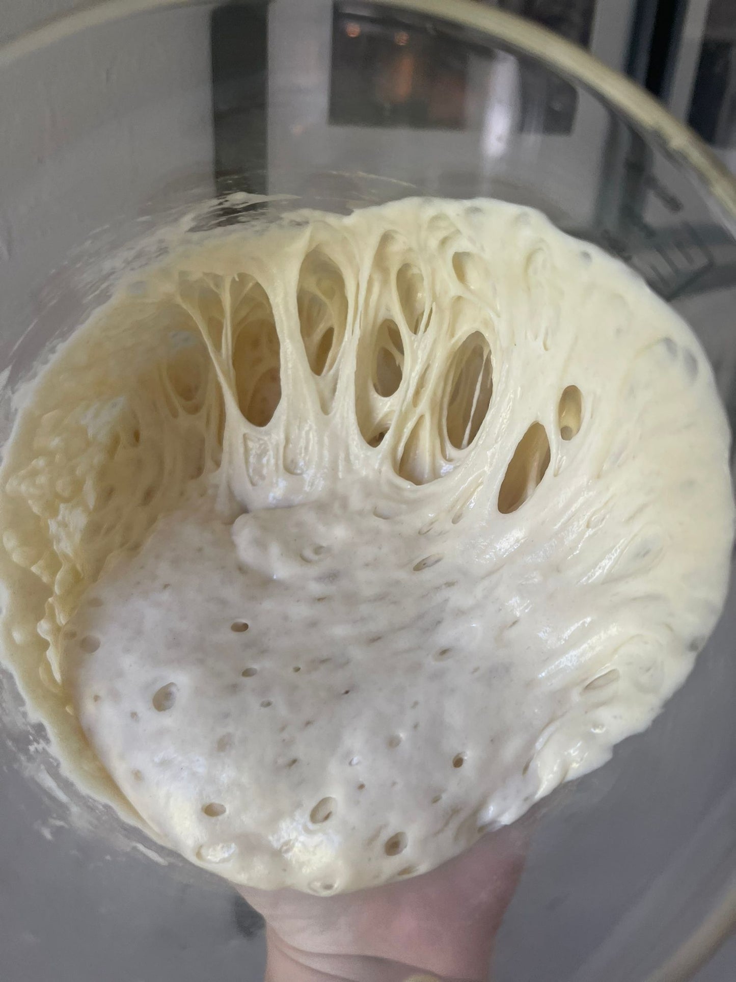Organic Dehydrated Sourdough Starter Cultures