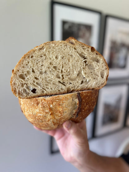 Organic Dehydrated Sourdough Starter Cultures